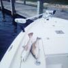 Fishing_charters_pensacola.jpg