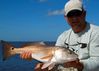 Flamingo_10_18_08_012.jpg