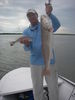 Flamingo_2011_002.jpg