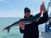 Florida_Cobia_Fishing_Reports.jpg