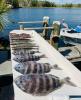 Florida_Deep_Sea_Fishing.jpg
