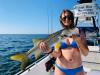 Florida_Fishing_Report_Tampa.jpg