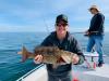 Florida_Fishing_Reports_December_Crytstal_River_Homosassa_Cedar_Key_Offshore_Inshore1.jpg
