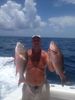 Florida_Keys_Reef_Fishing.JPG