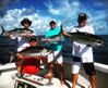 Florida_Keys_black_fin_tuna_fishing_islamorada.jpg