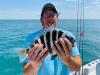 Florida_Sheepshead_Fishing_Reports1.jpg