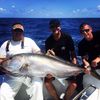 Florida_keys_101_amberjack_2016.JPG