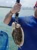 Flounder14.jpg