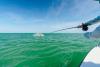Fly_Fishing_Clearwater_Beach1.JPG