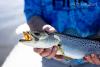 Fly_Fishing_Spotted_Sea_Trout.JPEG