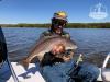 Fly_Fishing_Tampa_Redfish.jpg