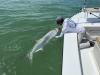 Fly_Fishing_Tarpon_Guide.jpeg