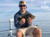 Fly_Fishing_Tripletail.jpg