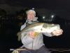 Fly_fishing_Docklight_Snook.jpeg