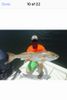 FullSizeRender_15_.jpg