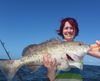 Gag_Grouper_Photo_Capt_Larry_Hendricks.jpg