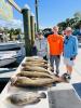 Grouper_Fishing_Crystal_River.jpg