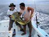 Hatfield_Dorado_Nov_29.jpg