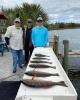 Homosassa_Fishing_Charters_January.jpg