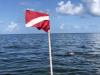 Homosassa_Scalloping_Charter_2018.JPG