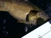 IMG-20110822-00015_1_.jpg