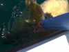 IMG-20110822-000161.jpg
