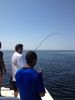 IMG_01993.JPG
