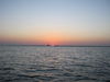 IMG_06052.JPG
