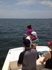 IMG_07851.JPG