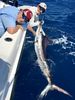 IMG_0891-White-marlin.jpg