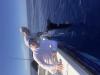 IMG_1482.jpeg