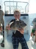 IMG_20130908_093334.jpg