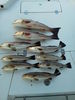 IMG_20131003_110019.jpg