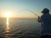 IMG_20131017_070403.jpg