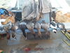 IMG_20131130_084450.jpg