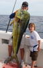 IMG_2815Big_mahi_web.JPG