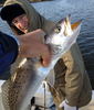 IMG_3064_-_Copy.JPG