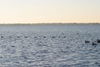 IMG_4090.JPG