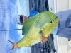 IMG_4279.jpeg