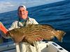 IMG_5572-Black-grouper.jpg