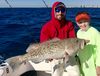 IMG_6089-A-big-gag-grouper-release-for-Grayson_.jpg