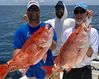 IMG_8058_Red_snapper.jpg