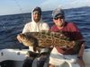 IMG_8082_Black_grouper_.jpg