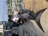 IMG_8260.jpeg