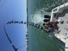 IMG_8733.jpeg