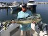 IMG_8881_bull_mahi_2.jpg