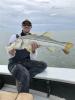 Inshore_snook_Clearwater_beach.JPG