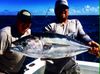 Islamorada_Black_fin_tuna_fishing_florida_keys.JPG