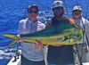 Islamorada_Florida_mahi_mahi_fishing_2016.JPG