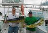 Islamorada_dolphin_fishing_florida_keys.JPG